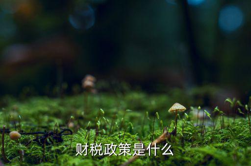 什么是稅收政策，我國的稅收政策是什么