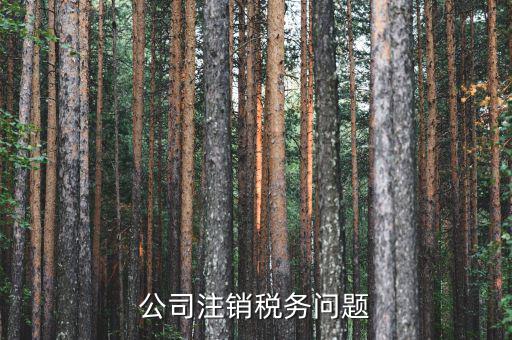 企業(yè)注銷為什么在地稅局非常簡單，公司注銷稅務(wù)問題