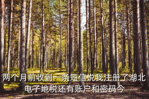 地稅什么時候會給電子稅務(wù)密碼，報地稅的時候登陸密碼每天有幾次輸入機會