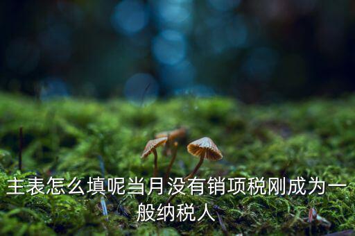 一般納稅人主表是什么意思，一般納稅人申報(bào)表主表的申明人必須輸入是什么意思