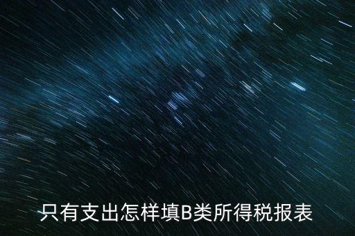 個人生產(chǎn)經(jīng)營所得B表稅金填什么，只有支出怎樣填B類所得稅報(bào)表