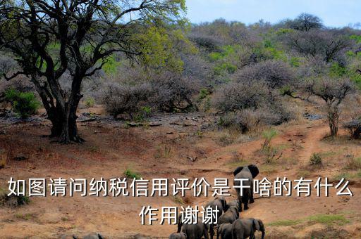 申請納稅信用復(fù)評需要什么資料，納稅信用評價的基本規(guī)范要求包括什么