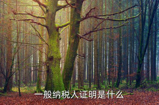 什么可以證明是一般納稅人，什么叫一般納稅人我如何辨別自己公司是否是一般納稅人
