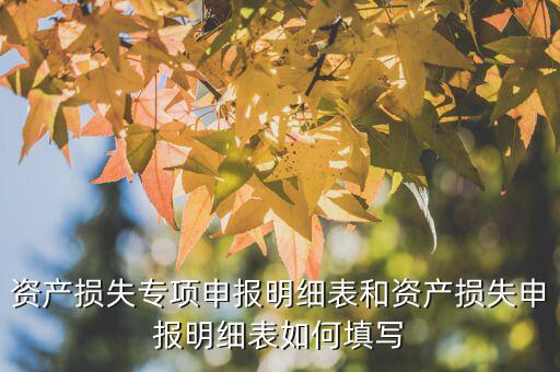 什么是專項(xiàng)資產(chǎn)損失申報(bào)表，所得稅申報(bào)表怎么填22資產(chǎn)損失
