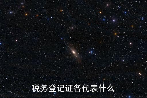 什么稅務(wù)登記證，什么是稅務(wù)登記證