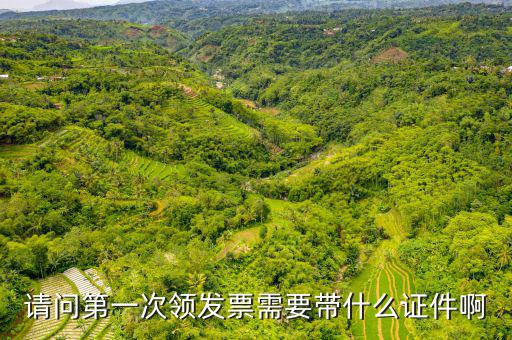 請(qǐng)問(wèn)第一次領(lǐng)發(fā)票需要帶什么證件啊