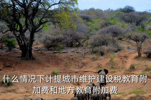 什么情況下免交地方教育稅附加，什么情況下計提城市維護(hù)建設(shè)稅教育附加費(fèi)和地方教育附加費(fèi)