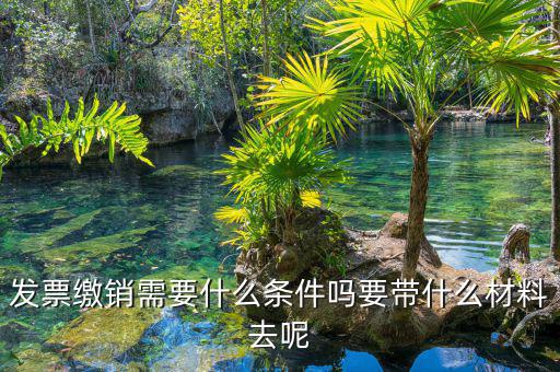 票證結(jié)報繳銷包括什么，去國稅局做稅票結(jié)報要帶哪些東西