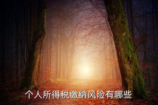 所得稅申報時有什么風險提示，個人所得稅繳納風險有哪些