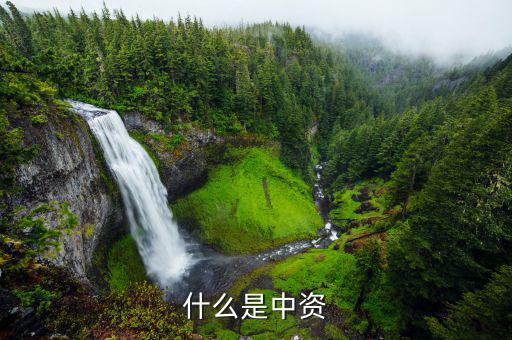 什么是境外中資控股居民，境外注冊中資控股居民企業(yè)和非境內(nèi)注冊居民企業(yè)區(qū)別
