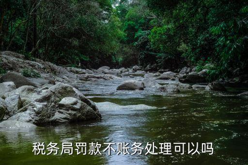 對稅務(wù)局罰款不公有什么辦法，稅務(wù)局罰款不賬務(wù)處理可以嗎