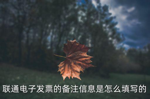 電子發(fā)票都寫什么，電子元器件一批發(fā)票內(nèi)容怎么寫