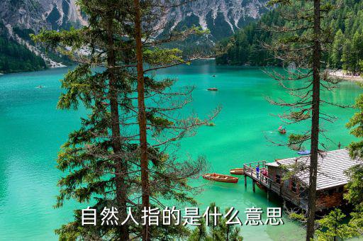 稅務(wù)自然人是指什么意思，申請人為自然人的是什么意思