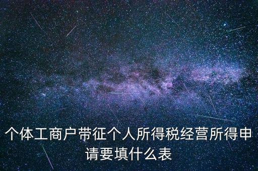個體所得稅填什么表，個稅表怎么填