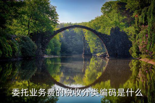 什么叫稅收分類(lèi)編碼，房屋維修是什么稅收分類(lèi)編碼