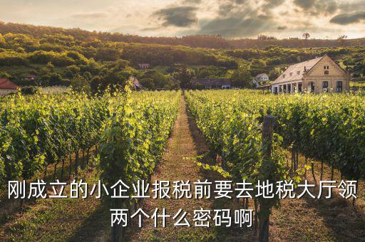 剛成立的小企業(yè)報(bào)稅前要去地稅大廳領(lǐng)兩個什么密碼啊