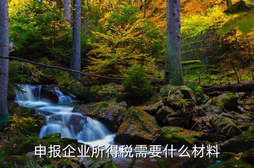 企業(yè)所得稅補申報需要什么，申報企業(yè)所得稅需要什么材料