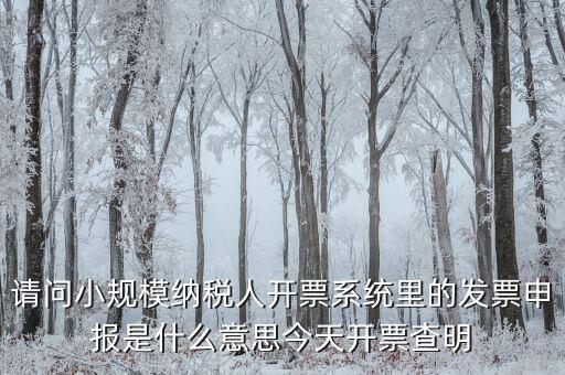 開票申報是什么原因，納稅申報出現(xiàn)的問題高手來解