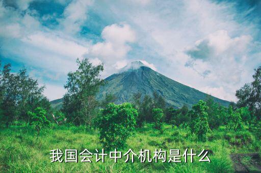 什么是涉稅中介機(jī)構(gòu)，我國會計中介機(jī)構(gòu)是什么
