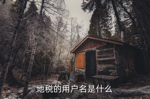 河北地稅申報用戶名是什么，地稅的用戶名是什么