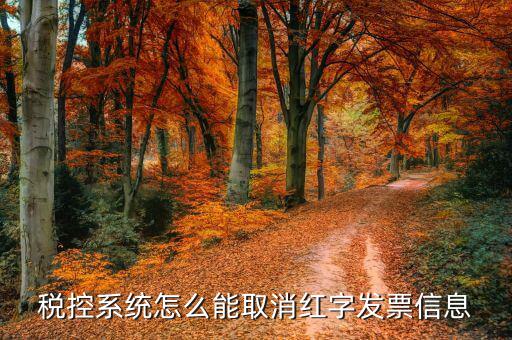 撤銷紅字信息表需要什么，我是購貨方開具紅字信息表錯(cuò)誤去稅務(wù)局撤銷信息表查看描寫