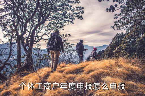 年度申報需要申報什么，企業(yè)年度所得稅申報需要哪些材料
