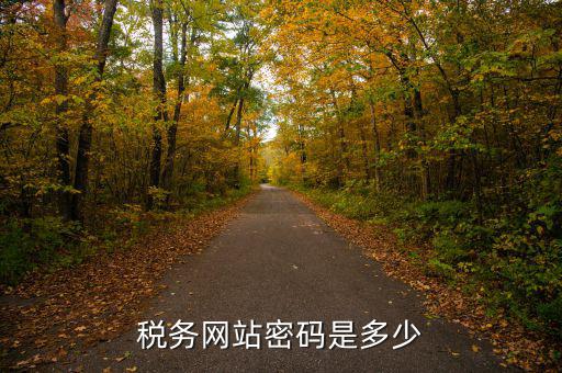 國稅登陸用戶名密碼是什么，電子稅務(wù)局密碼怎么查