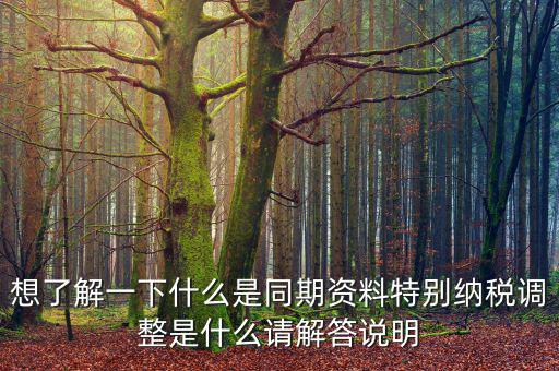 關(guān)聯(lián)申報同期資料是什么，想了解一下什么是同期資料特別納稅調(diào)整是什么請解答說明