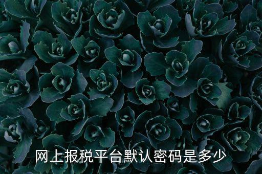 山東國稅登錄密碼是什么，國家稅務(wù)總局網(wǎng)上辦稅服務(wù)廳初始密碼是什么