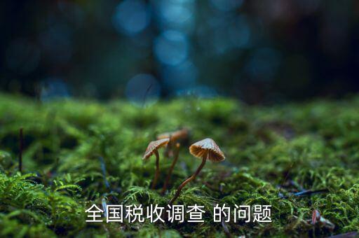 全國稅收調(diào)查是什么呢，全國稅收調(diào)查表說明