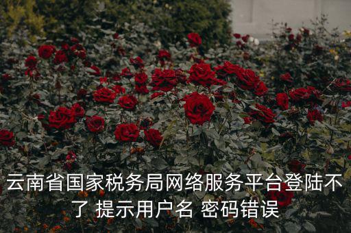 云南稅控服務平臺的網(wǎng)址是什么，云南國稅開票系統(tǒng)網(wǎng)址