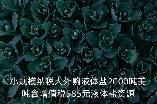 小規(guī)模納稅人外購(gòu)液體鹽2000噸美噸含增值稅585元液體鹽資源