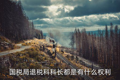 國稅稅政科有什么權(quán)限，稅務(wù)局里的稅政科和征管科都有哪些功能