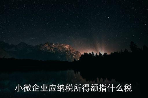小微企業(yè)繳納什么稅，小型微利企業(yè)有什么稅要交