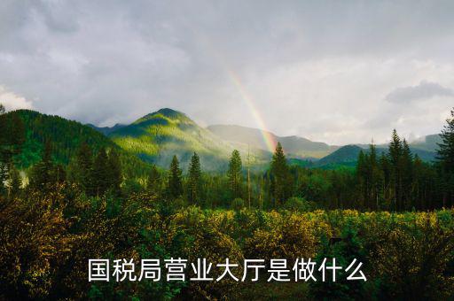 國稅局大廳工作是什么，國稅大廳咨詢?nèi)藛T具體是做什么工作的