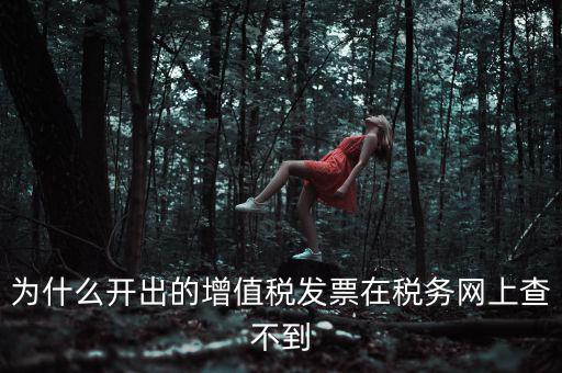 為什么我查不到發(fā)票，開(kāi)了發(fā)票為什么在國(guó)稅官網(wǎng)上查詢不到