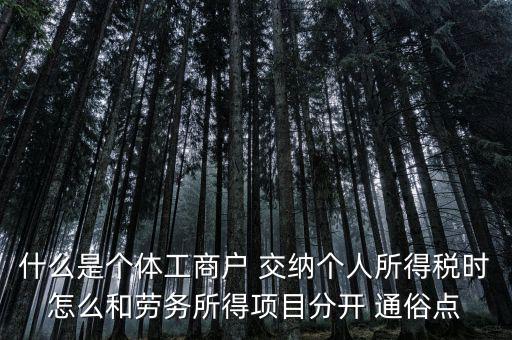 什么叫個(gè)體工商戶經(jīng)營所得，個(gè)體工商戶的生產(chǎn)經(jīng)營所得是指什么