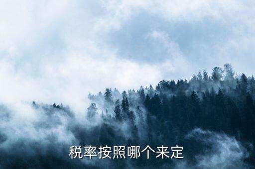 什么人定的稅收預(yù)測(cè)準(zhǔn)確率，稅率按照哪個(gè)來(lái)定