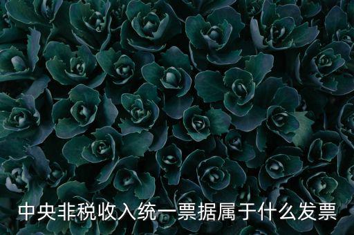 非稅發(fā)票是什么，中央非稅收入統(tǒng)一票據(jù)屬于什么發(fā)票