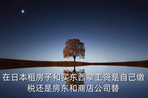 日本租稅法是什么稅，在日本租房子和買(mǎi)東西拿工資是自己繳稅還是房東和商店公司替