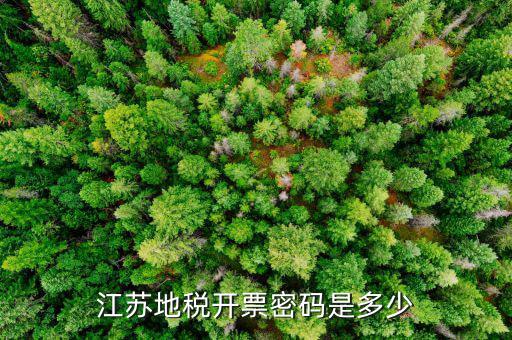 江蘇地稅用戶初始密碼是什么，江蘇地稅開票密碼是多少