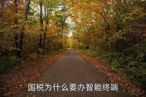 什么是地稅智能終端服務(wù)，國稅為什么要辦智能終端