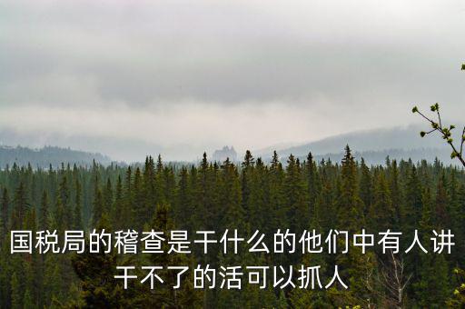 國稅局查什么的，國稅局的稽查是干什么的他們中有人講干不了的活可以抓人