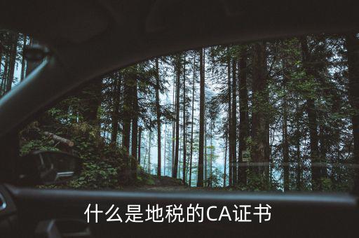 什么叫地稅CA用戶，什么是CA用戶