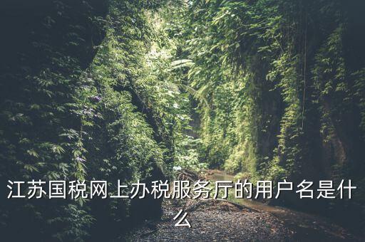 江蘇國稅網上辦稅服務廳的用戶名是什么