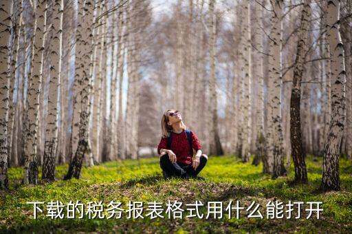 下載的稅務(wù)報(bào)表格式用什么能打開(kāi)