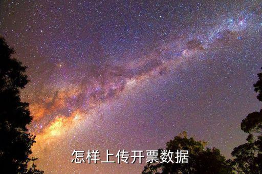 如何上傳進(jìn)項(xiàng)發(fā)票明細(xì)，怎樣上傳開票數(shù)據(jù)