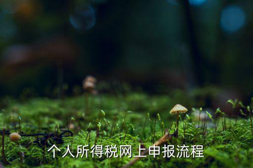 如何網(wǎng)上申請個稅，個人所得稅網(wǎng)上申報流程