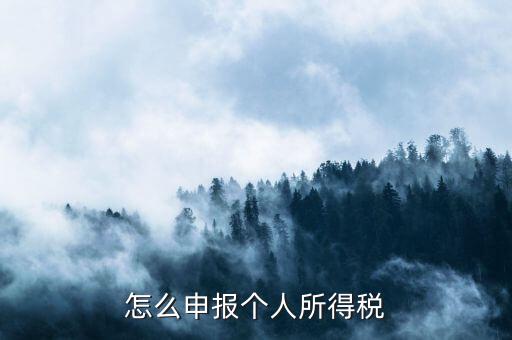 如何申報個人所得稅，怎么申報個人所得稅