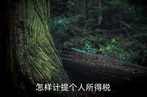 個人所得稅如何計(jì)提，如何計(jì)提個人所得稅